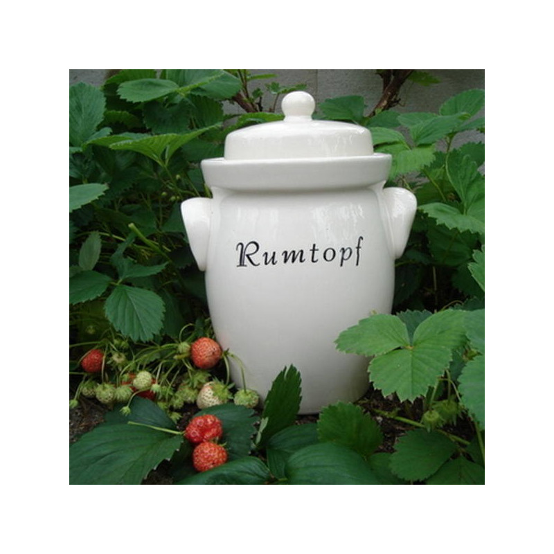 Rumtopf / romtopf Rumtopf / romtopf