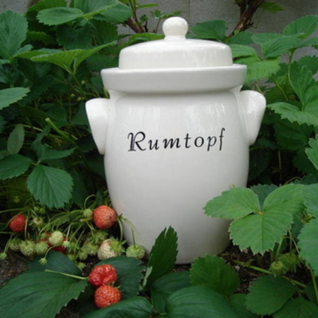 Rumtopf / romtopf