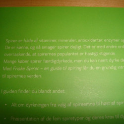 Friske spirer -en guide til spiring