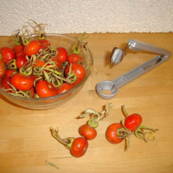 Blomme udstener