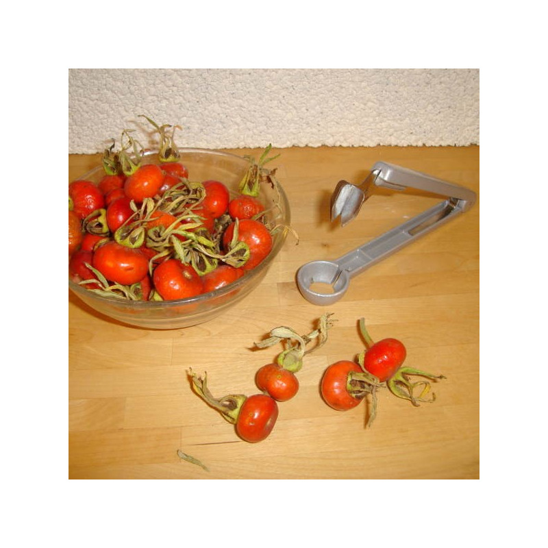 Blomme udstener