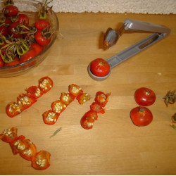 Blomme udstener
