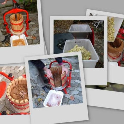 Lej et mosteri, 2 timer.