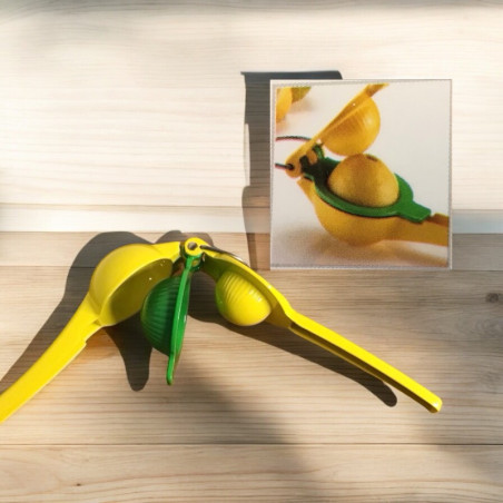 Citrus squezzer